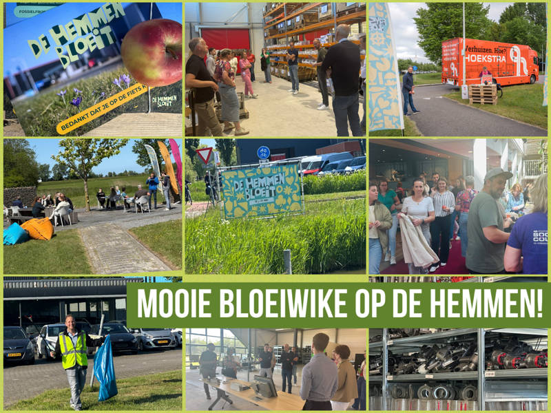 De Hemmen Bloeit! Een bloeiweek vol verbinding en inspiratie